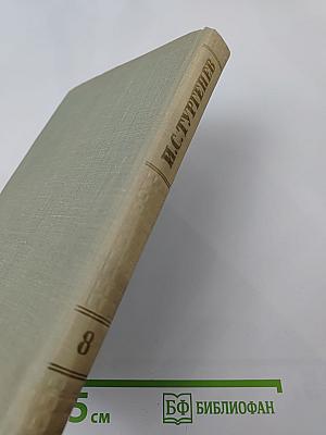 Собрание сочинений. Том восьмой. Повести и рассказы 1870–1882