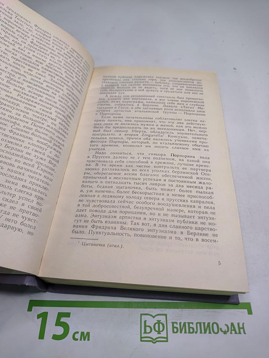 Графиня Рудольштадт