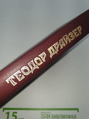 Сестра Керри. Западня.