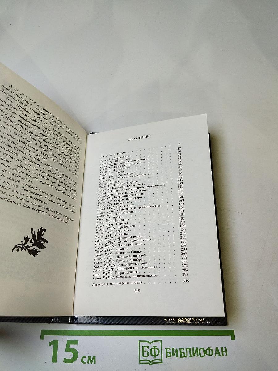 Фонтанный дом