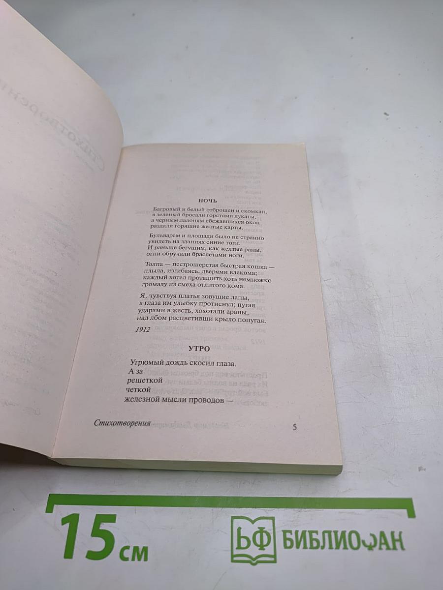 Во весь голос