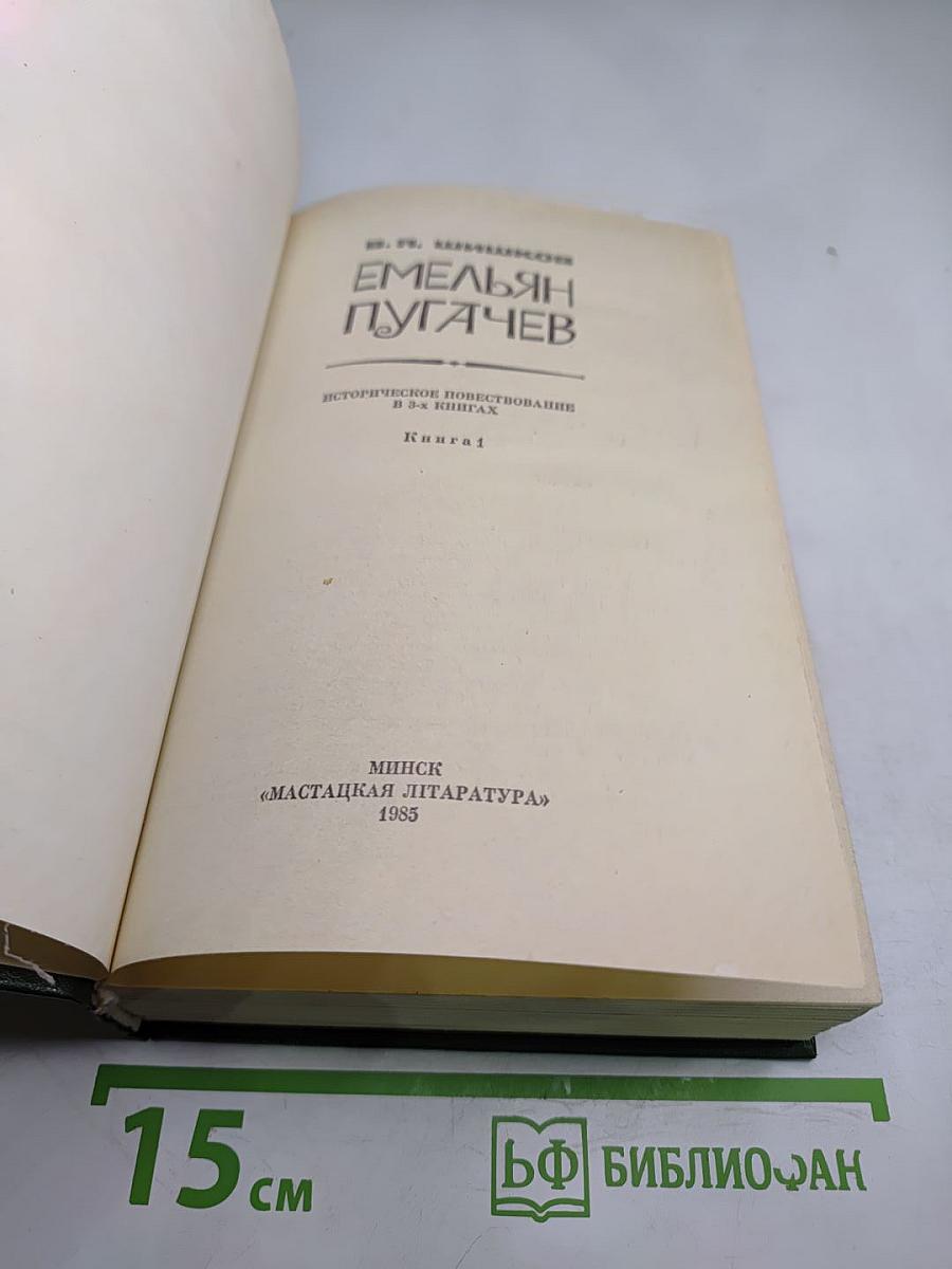 Емельян Пугачев. Книга 1