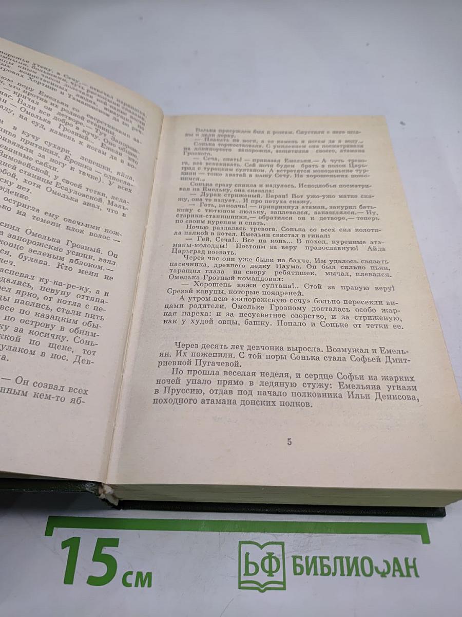 Емельян Пугачев. Книга 1