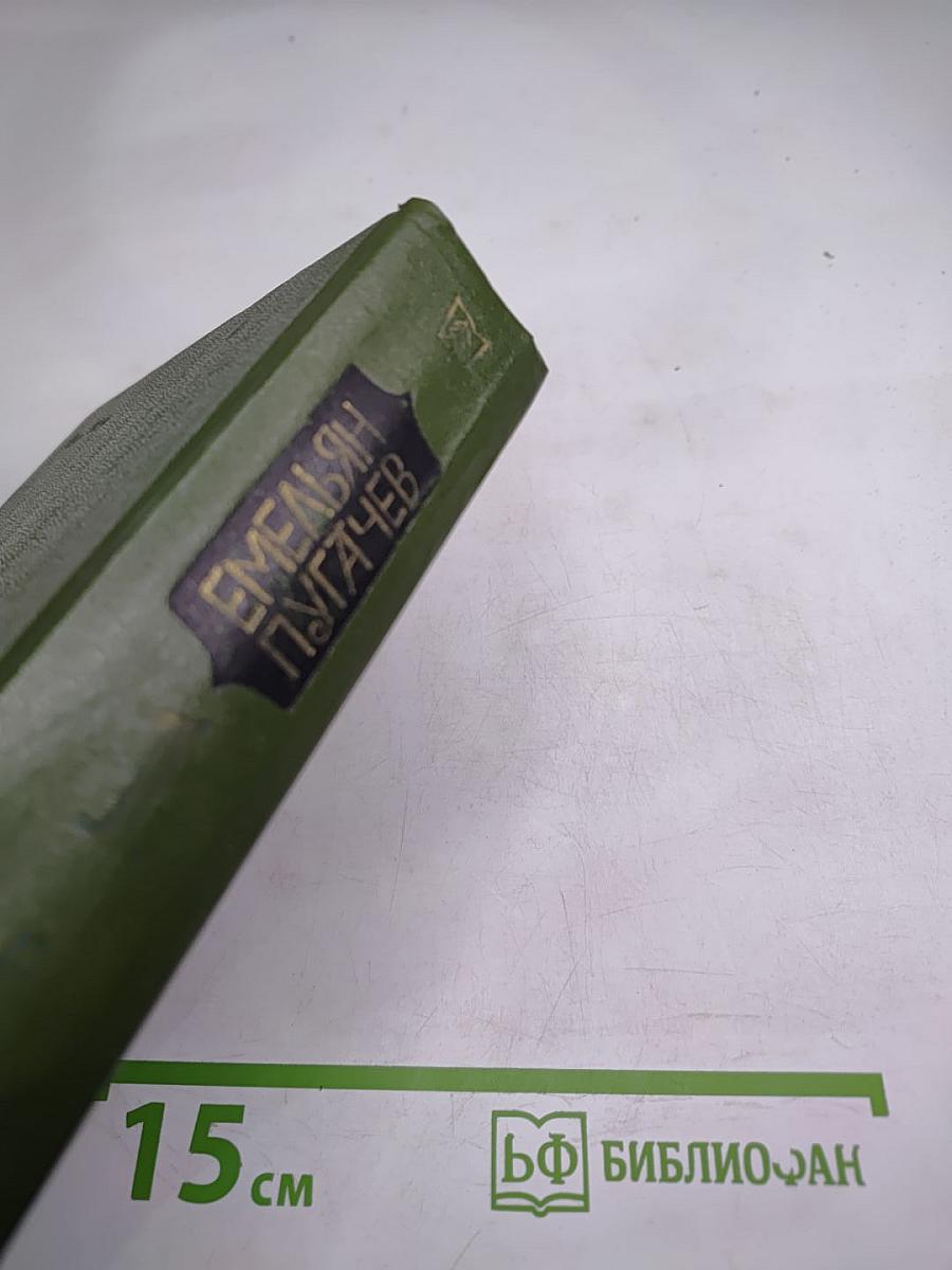 Емельян Пугачев. Книга 1