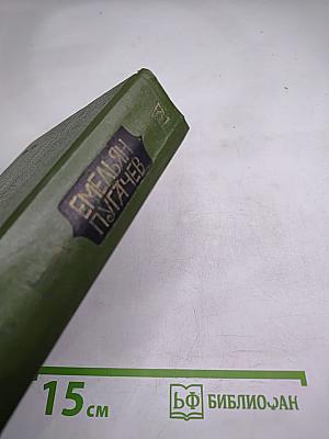 Емельян Пугачев. Книга 1