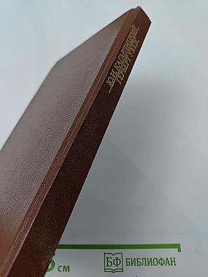 Вглядываясь в грядущее: Книга о Герберте Уэллсе