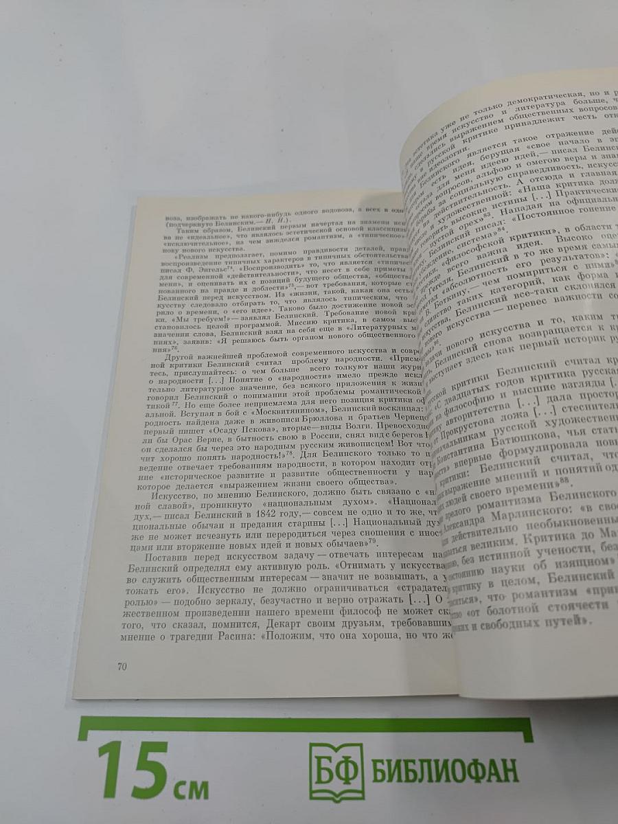 Художественная критика пушкинской поры