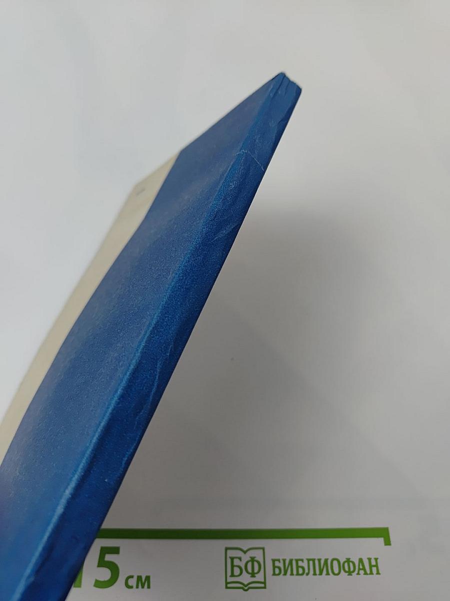 Информационные системы для руководителей