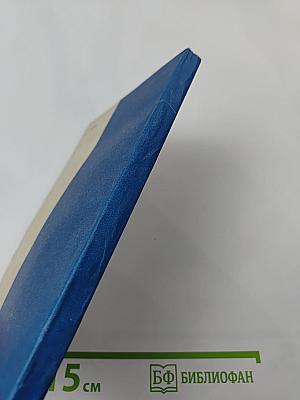 Информационные системы для руководителей