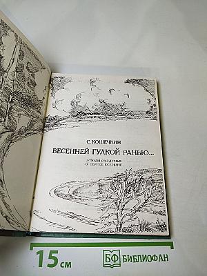 Весенней гулкой ранью...