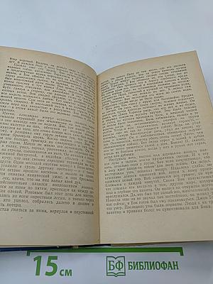 Северная Одиссея. Повесть и рассказы