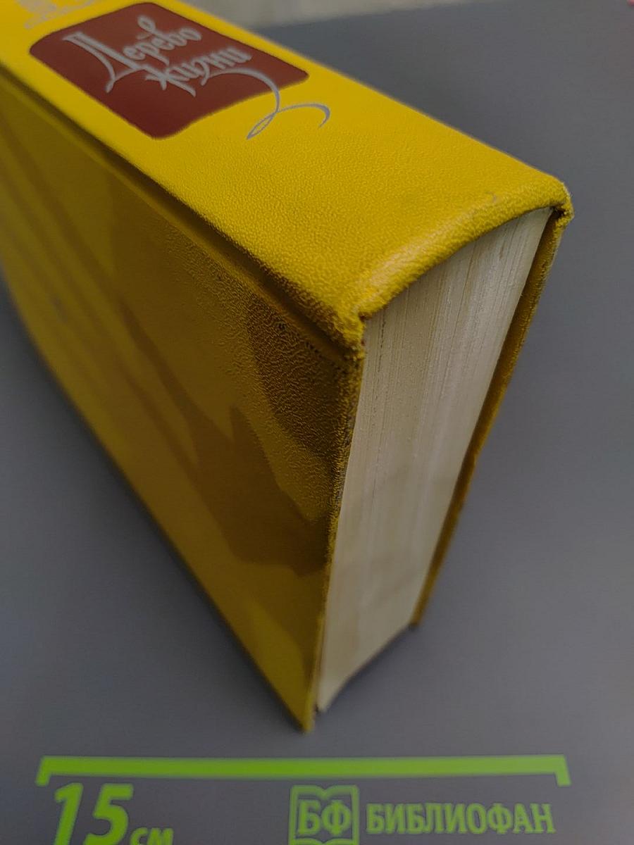 Дерево жизни