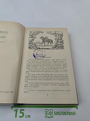 Всадник без головы