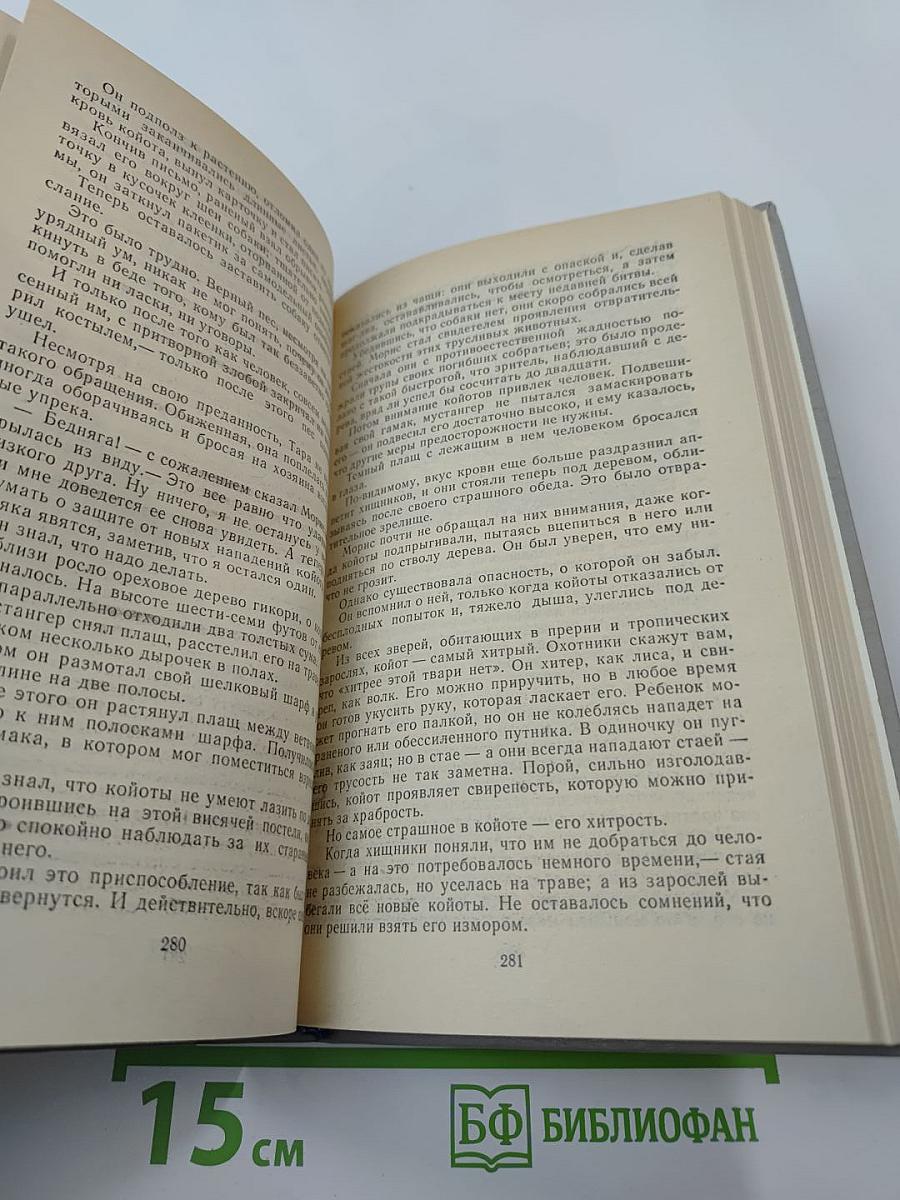 Всадник без головы