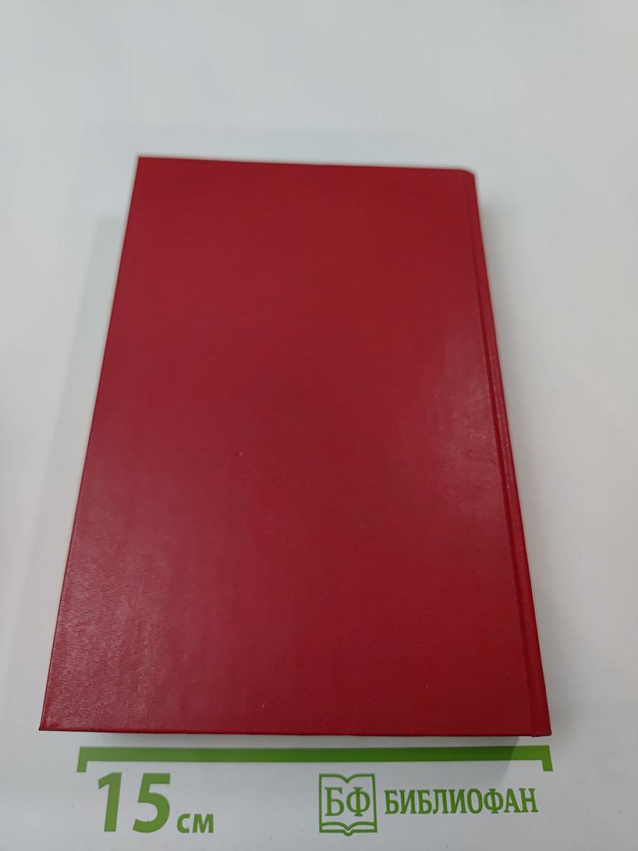 Бой без правил