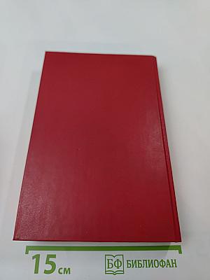 Бой без правил