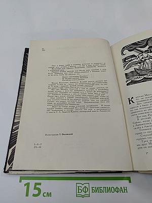 Может собственных Платонов... Юность Ломоносова