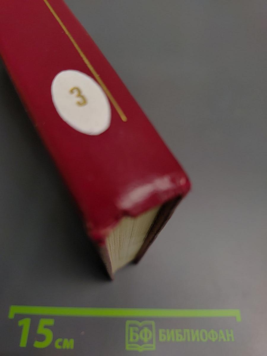 Ледяной клад (Собрание сочинений. Том третий)