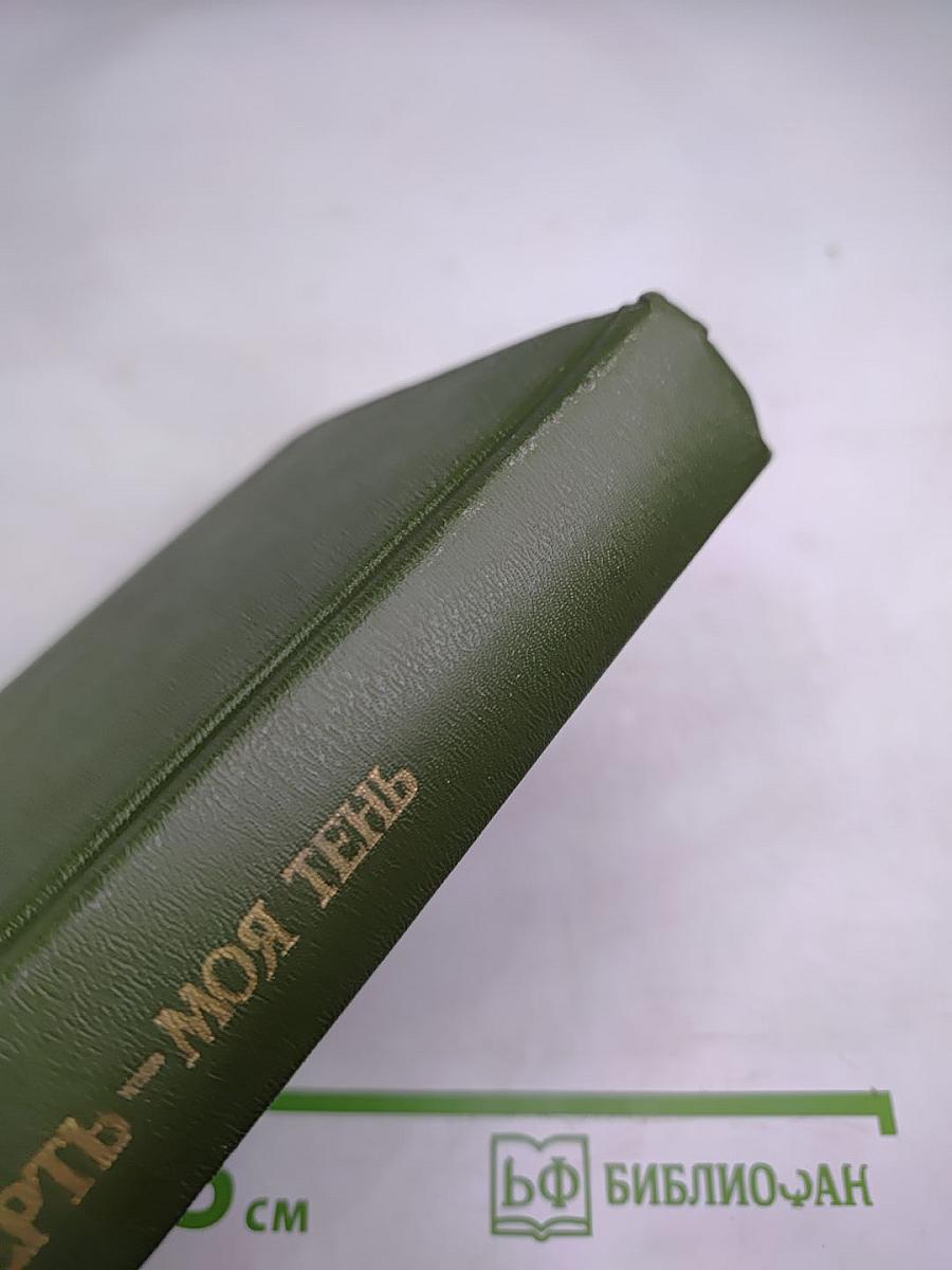 Смерть - моя тень