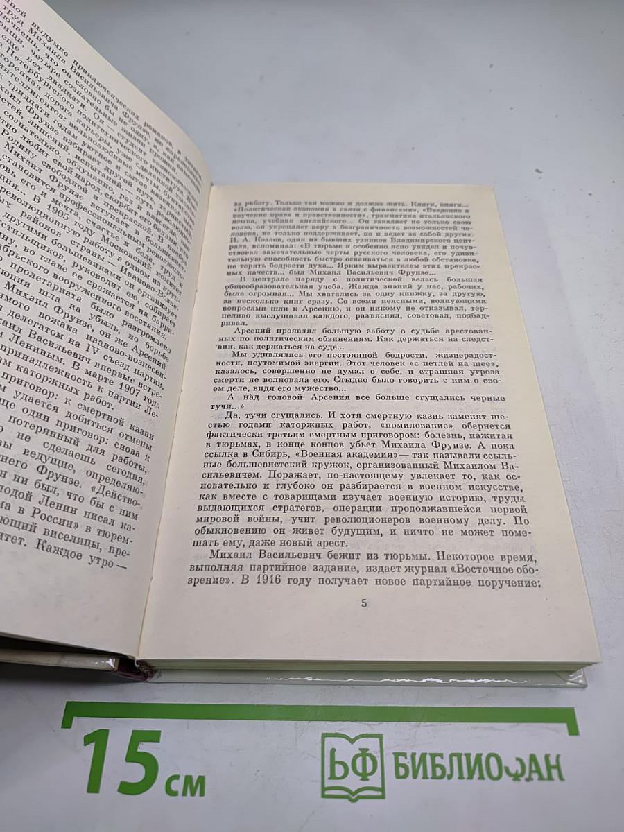 О Михаиле Фрунзе: Воспоминания, очерки, статьи современников