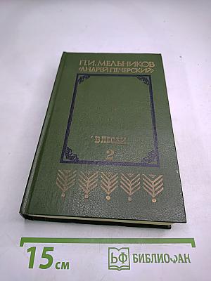 В лесах. Книга вторая