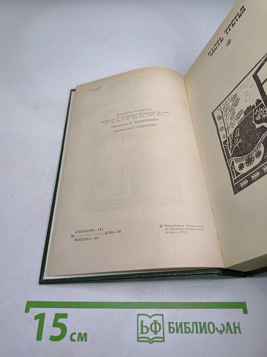 В лесах. Книга вторая