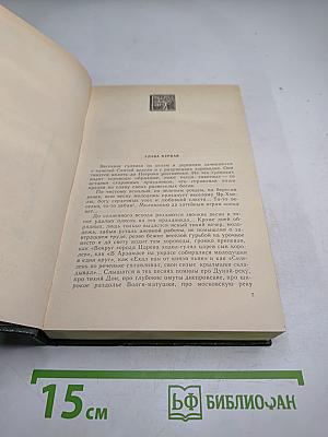 В лесах. Книга вторая