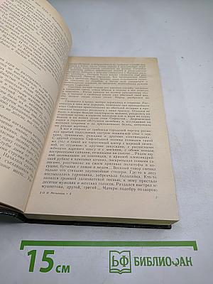 В лесах. Книга вторая