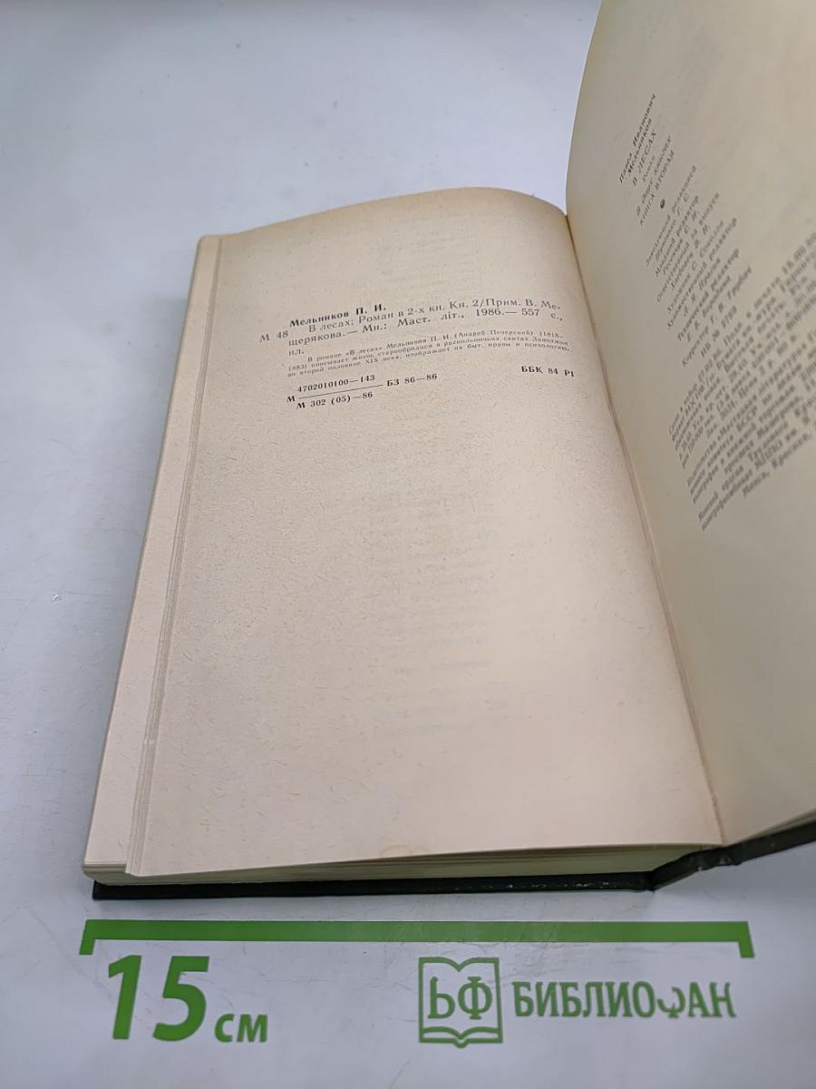 В лесах. Книга вторая