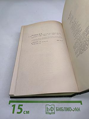 В лесах. Книга вторая