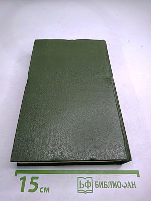 В лесах. Книга вторая