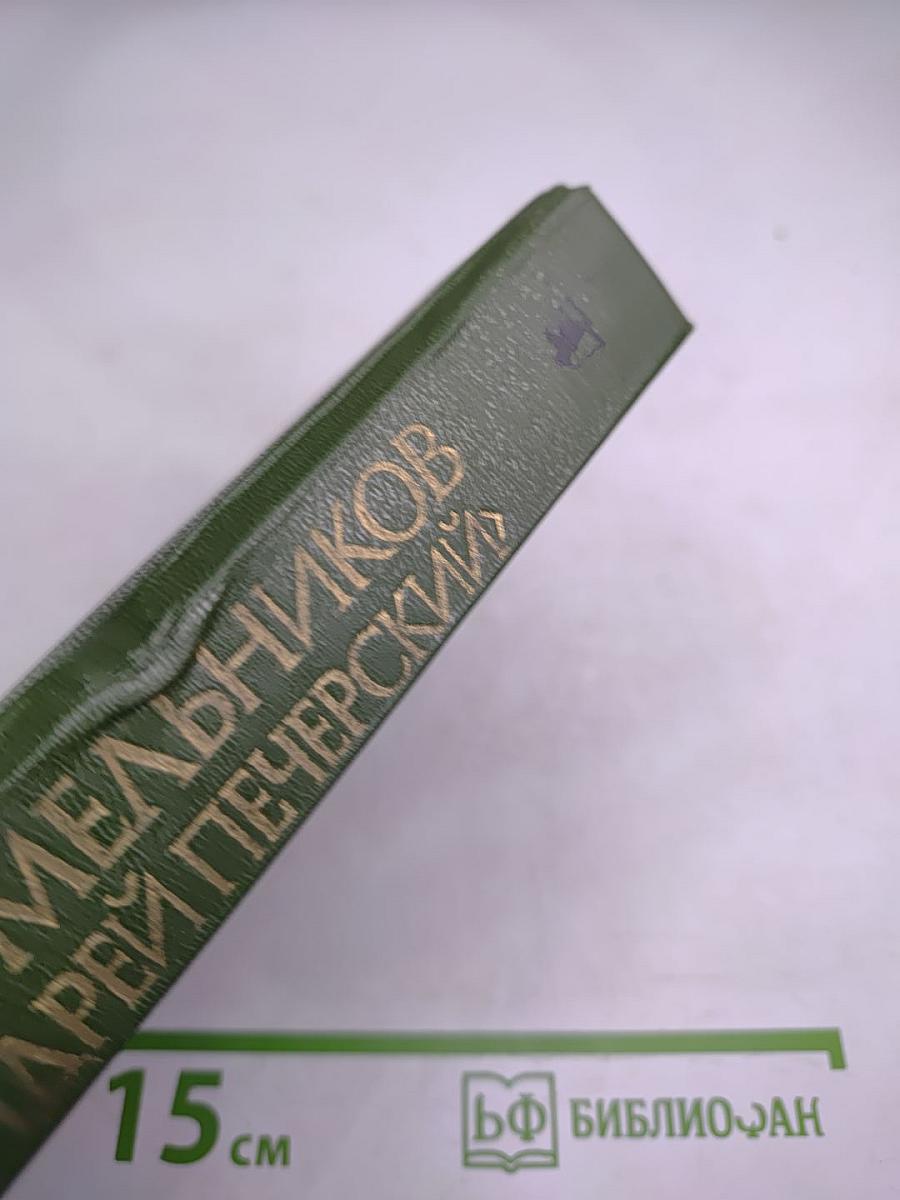 В лесах. Книга вторая