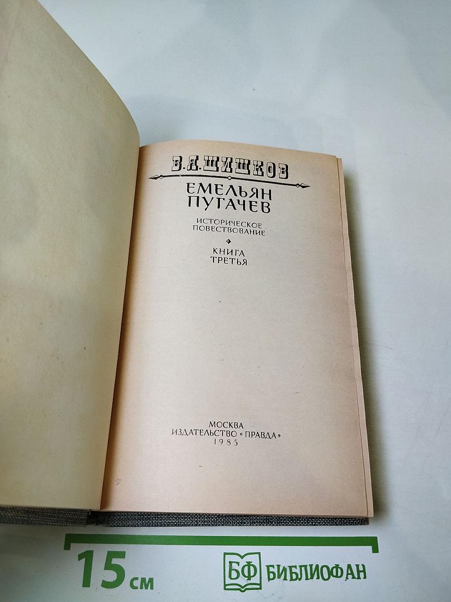 Емельян Пугачев. Книга третья