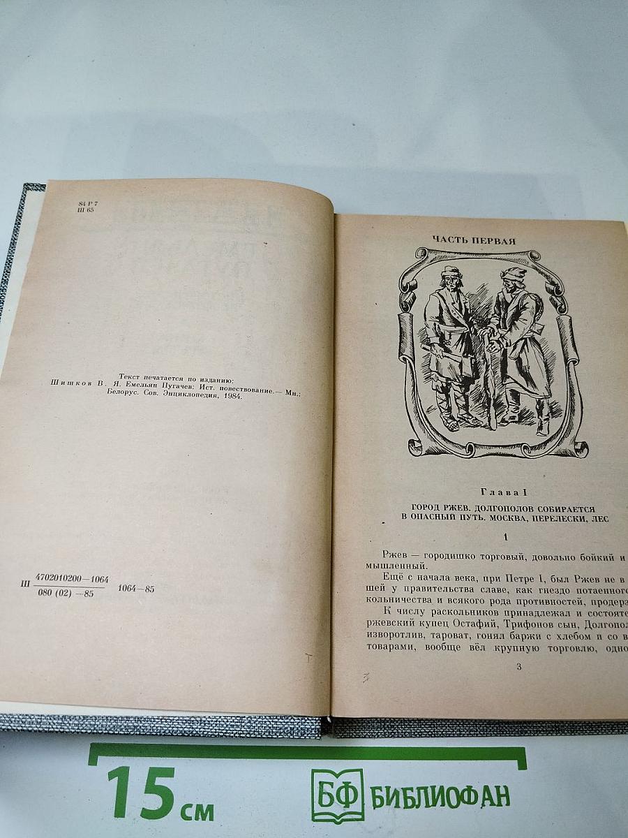 Емельян Пугачев. Книга третья