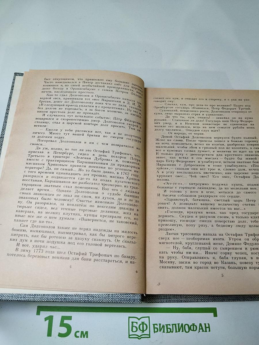 Емельян Пугачев. Книга третья