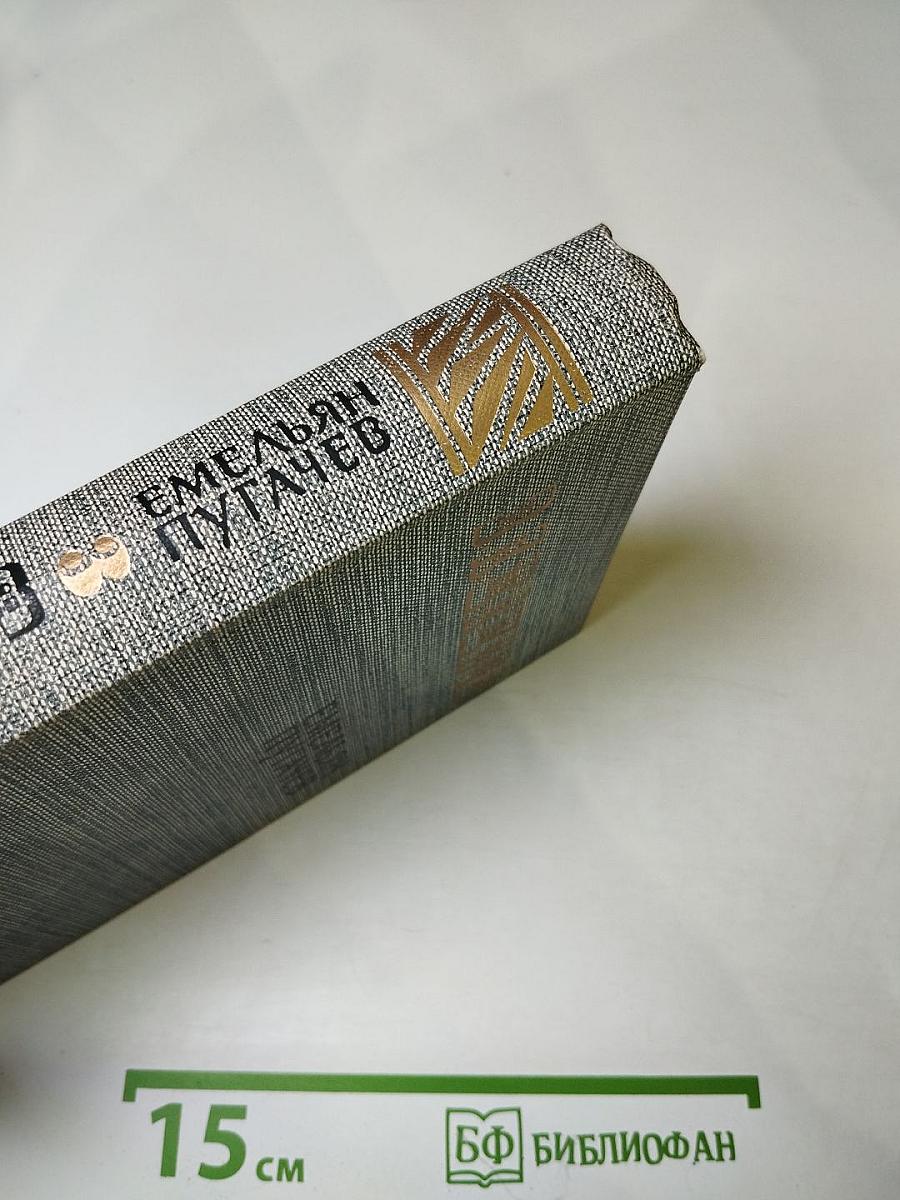 Емельян Пугачев. Книга третья