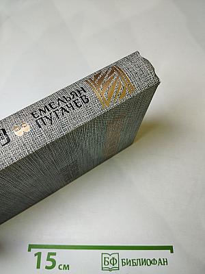 Емельян Пугачев. Книга третья