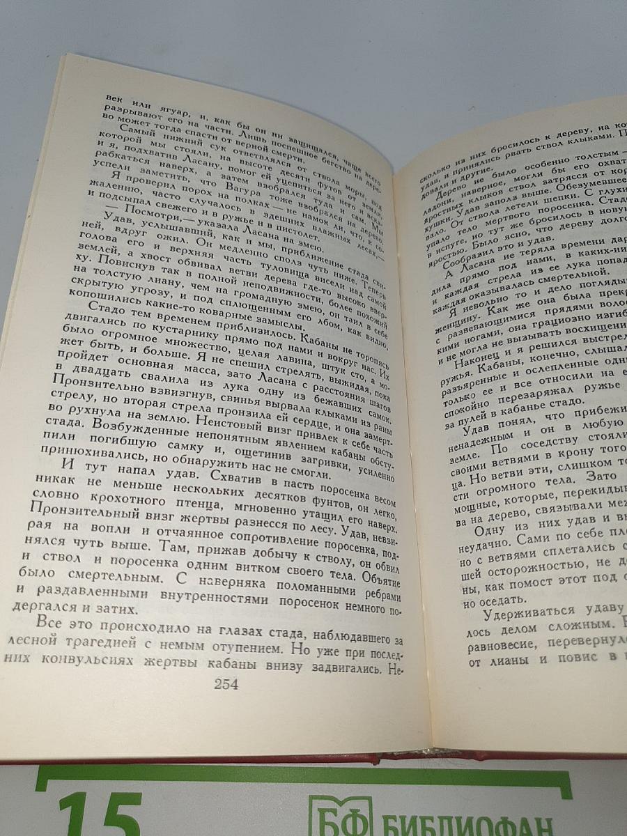 Белый Ягуар. Вождь араваков