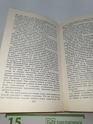 Белый Ягуар. Вождь араваков