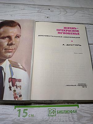 Жизнь - прекрасное мгновенье