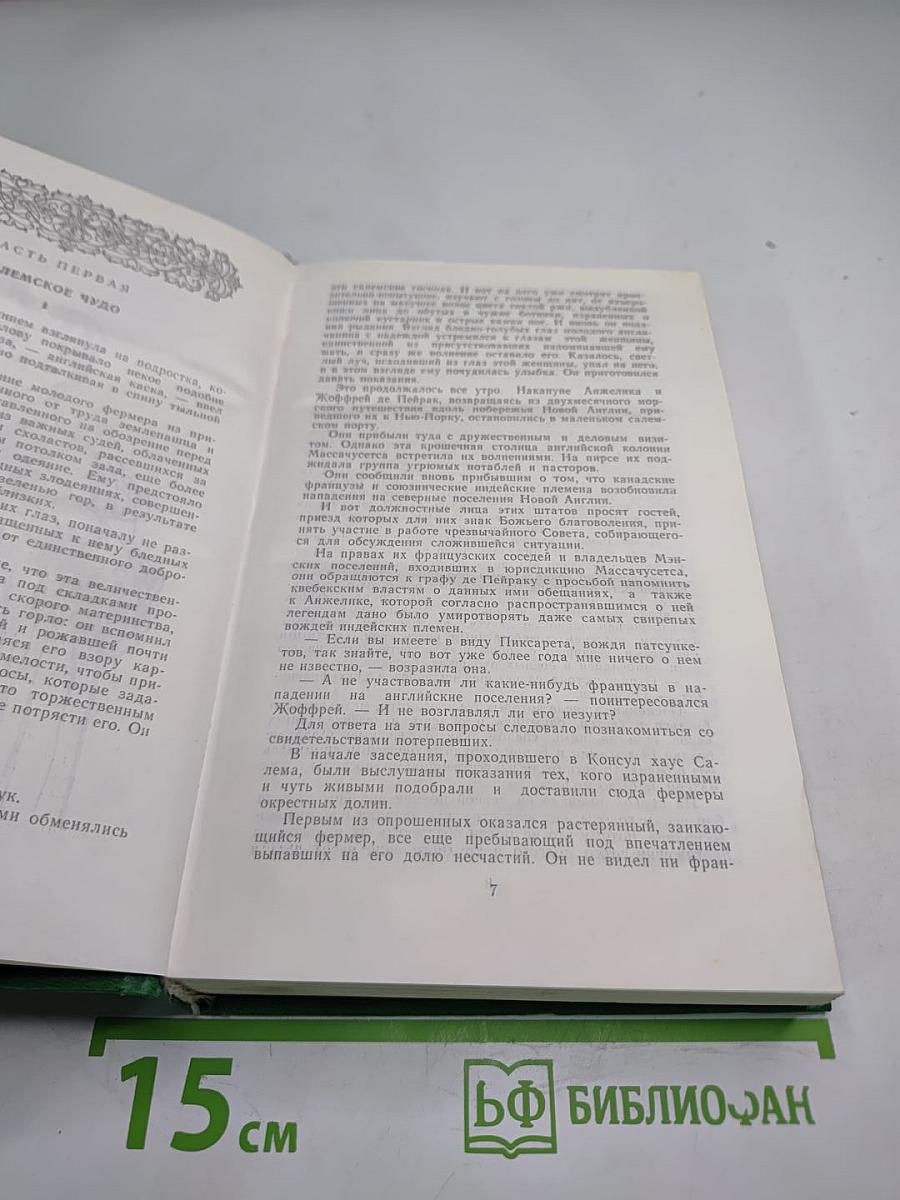 Анжелика. Дорога надежды. Анжелика и ее победа