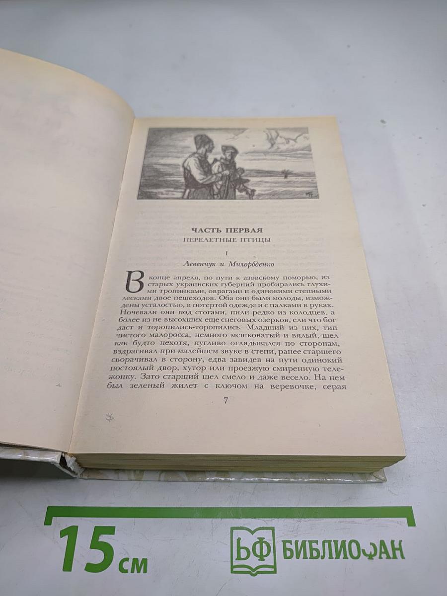 Беглые в Новороссии. Воля. Княжна Тараканова