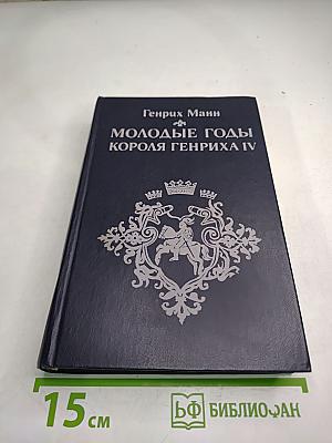 Молодые годы короля Генриха IV