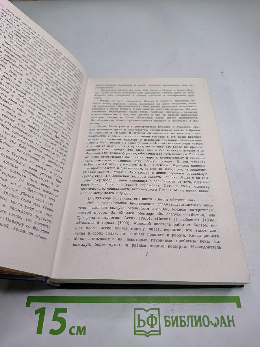 Молодые годы короля Генриха IV