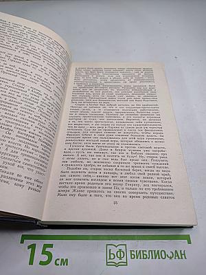 Молодые годы короля Генриха IV