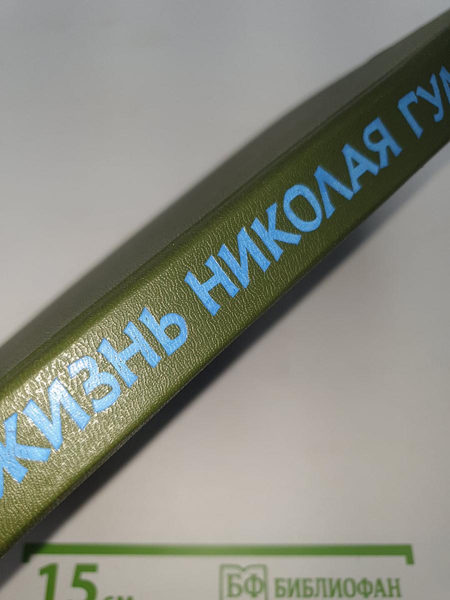 Жизнь Николая Гумилева