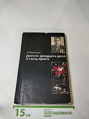 Двести двадцать дней в тылу врага