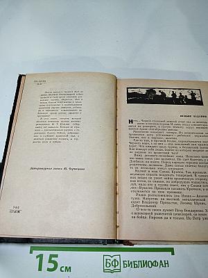 Двести двадцать дней в тылу врага