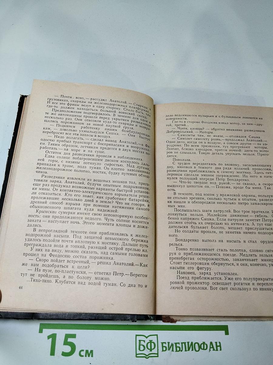 Двести двадцать дней в тылу врага