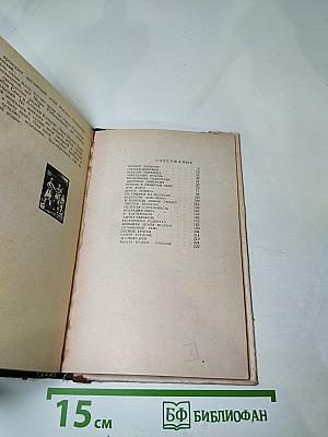 Двести двадцать дней в тылу врага